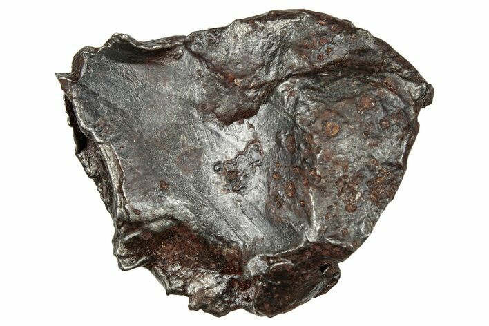 Sikhote-Alin Iron Meteorite Shrapnel ( g) - Russia #246964